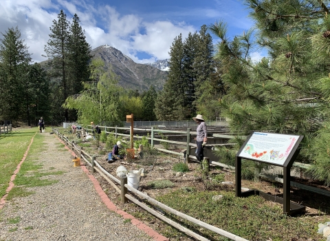 A group of people work in a garden with mountains and blue sky with clouds in the background