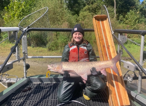 FWS intern holding a Grass Carp on the bow of a boat.
