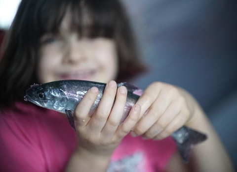 girl in pink holding a shiny silver fish