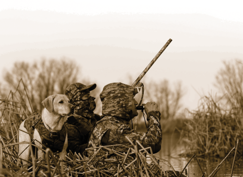 Two duck hunters sitting in the tules with a dog