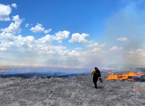 Fire Fighter on Prescribed Fire at Lower Klamath NWR 