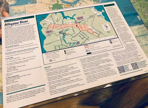 A packet of handouts featuring a map and blocks of text resting on a desk. The handout is titled "Alligator River National Wildlife Refuge."
