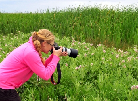 A woman crouching down to take a photo of pinkish wildflowers