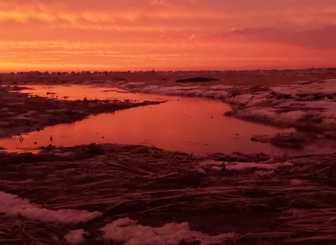 A colorful coastal sunrise over the marsh lights up the sky and reflects of the frozen landscape