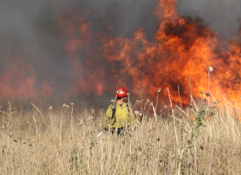 person in red hat and yellow suit in a grassy field with a smoking fire in the background