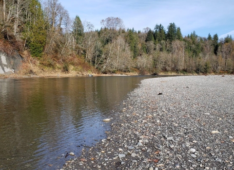 Stillaguamish Tribal land along the North Fork of the Stillaguamish River in the Trafton Reach, Snohomish County, Washington State.