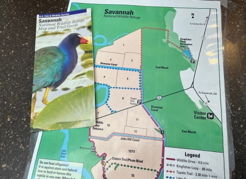 Image of Savannah NWR Brochure and Trail Map