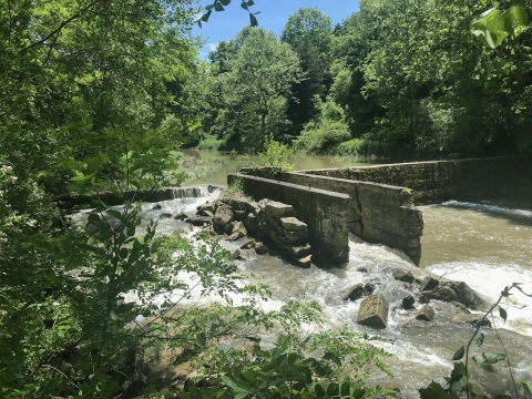 Little River Dam, a decaying stone wall about 12-feet tall, with a shoot running downstream