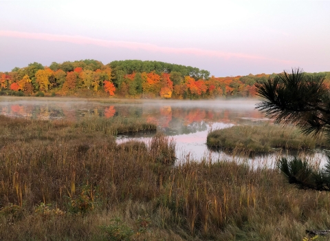 Early morning wetland in fall with fog on water framed by autumn foliage in the distance