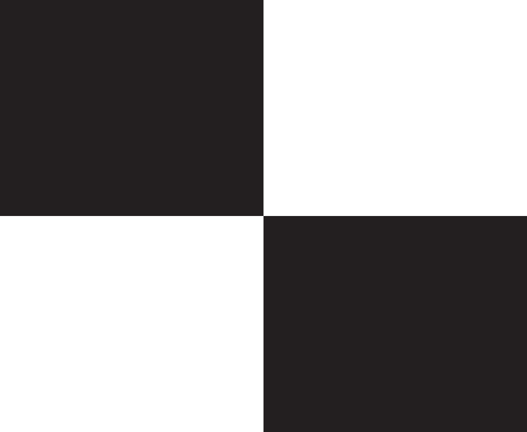 Black and white color swatch