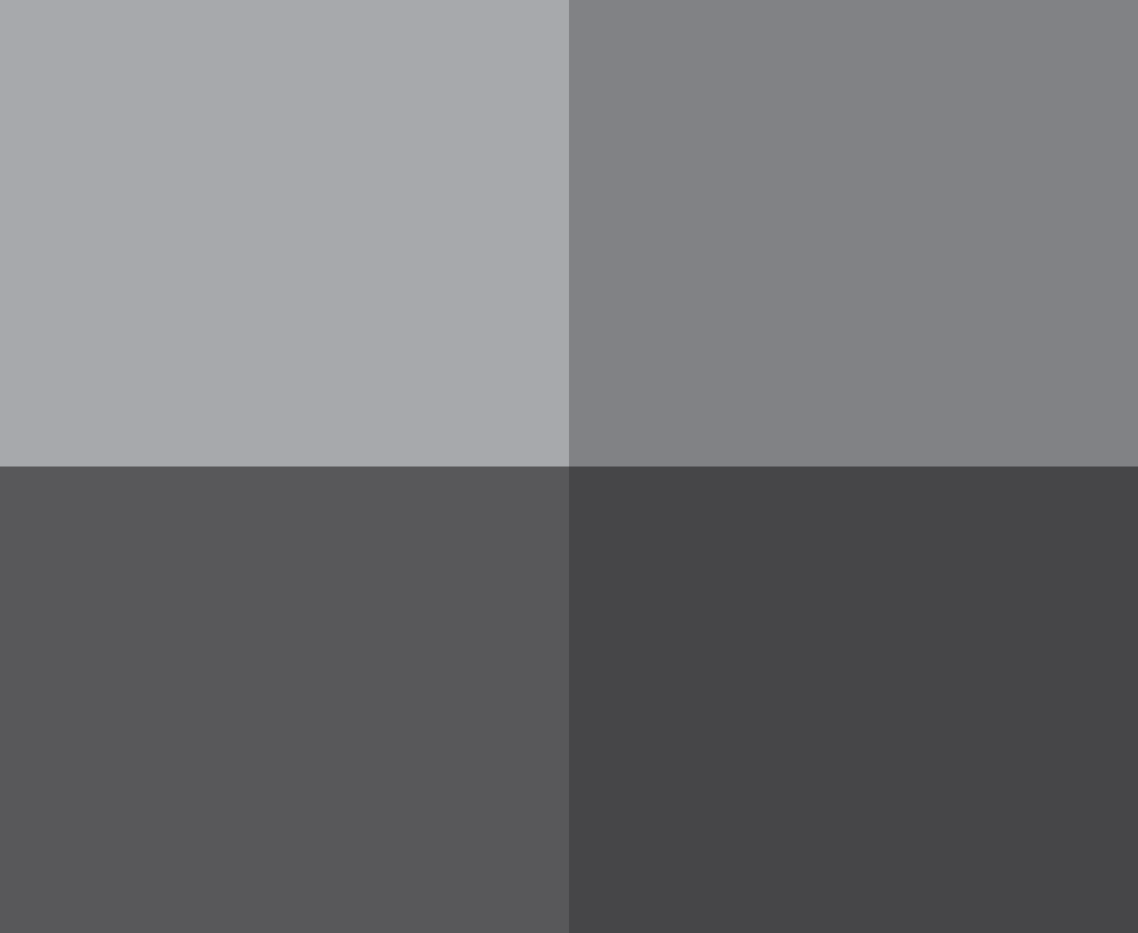 Gray color swatch