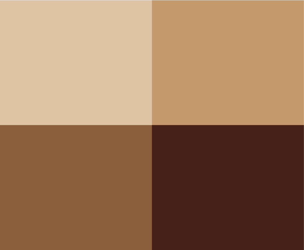 Brown color swatch