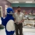 Sam Pollock with Puddles the Goose and Flea the American Alligator