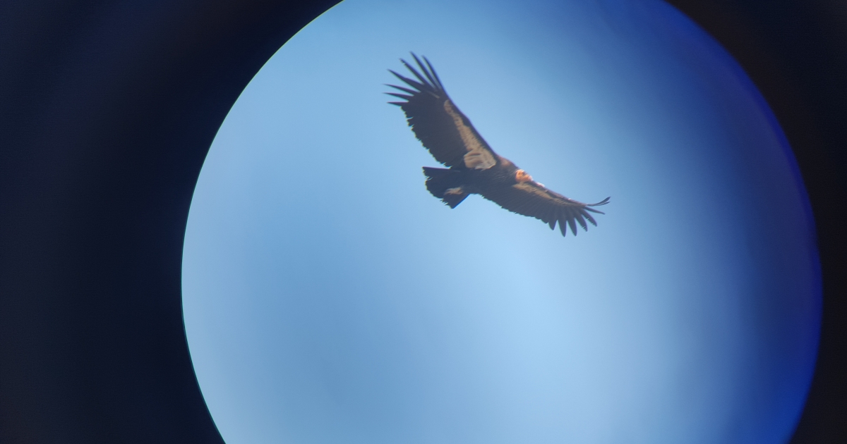 Hopper Mountain National Wildlife Refuge | What We Do - Projects ...