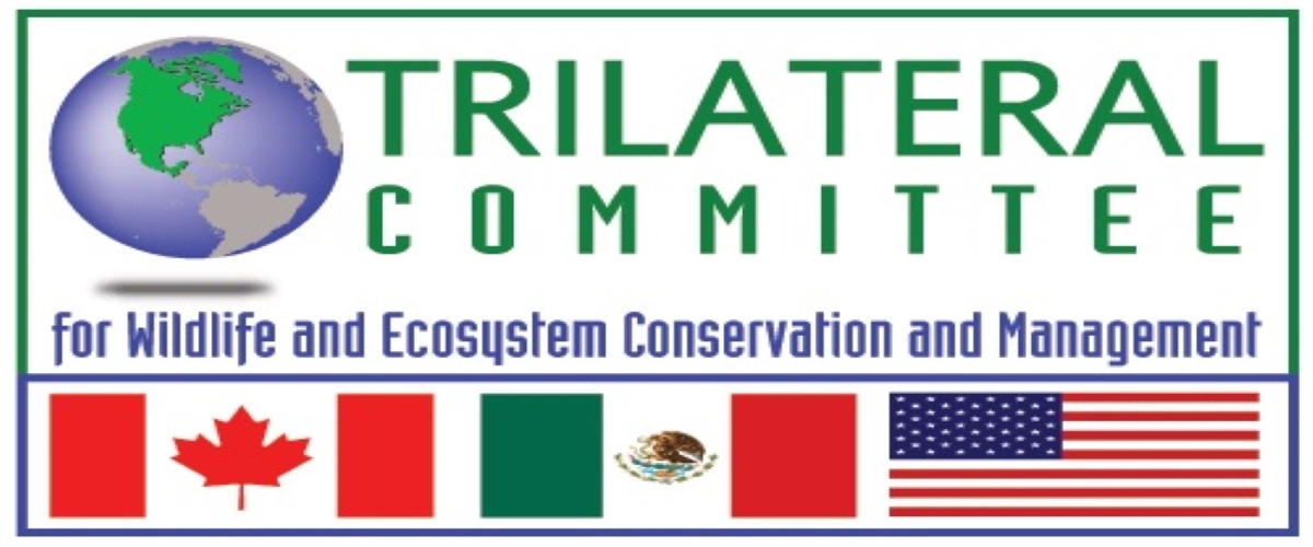 Trilateral_logo_w_flags (1200500).jpg | FWS.gov