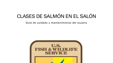 Aquarium Care and Maintenance Guide for Salmon in the Classroom - Spanish Version