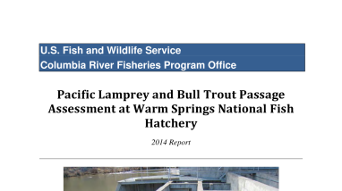 Pacific Lamprey and Bull Trout Passage Assessment at Warm Springs National Fish Hatchery