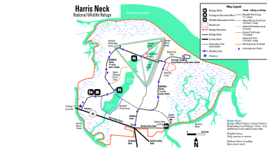 Harris Neck NWR Trail Map