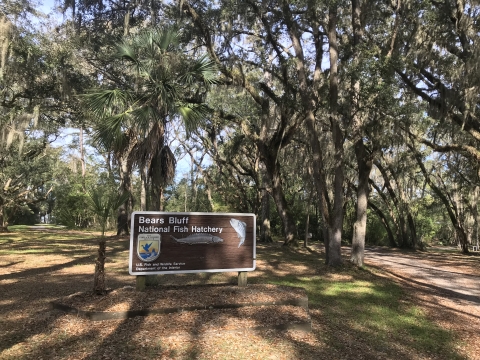 Main entrance and welcome sign for Bears Bluff National Fish Hatchery