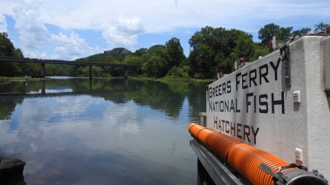 River scene showing a bridge and side of a fish distribution truck.
