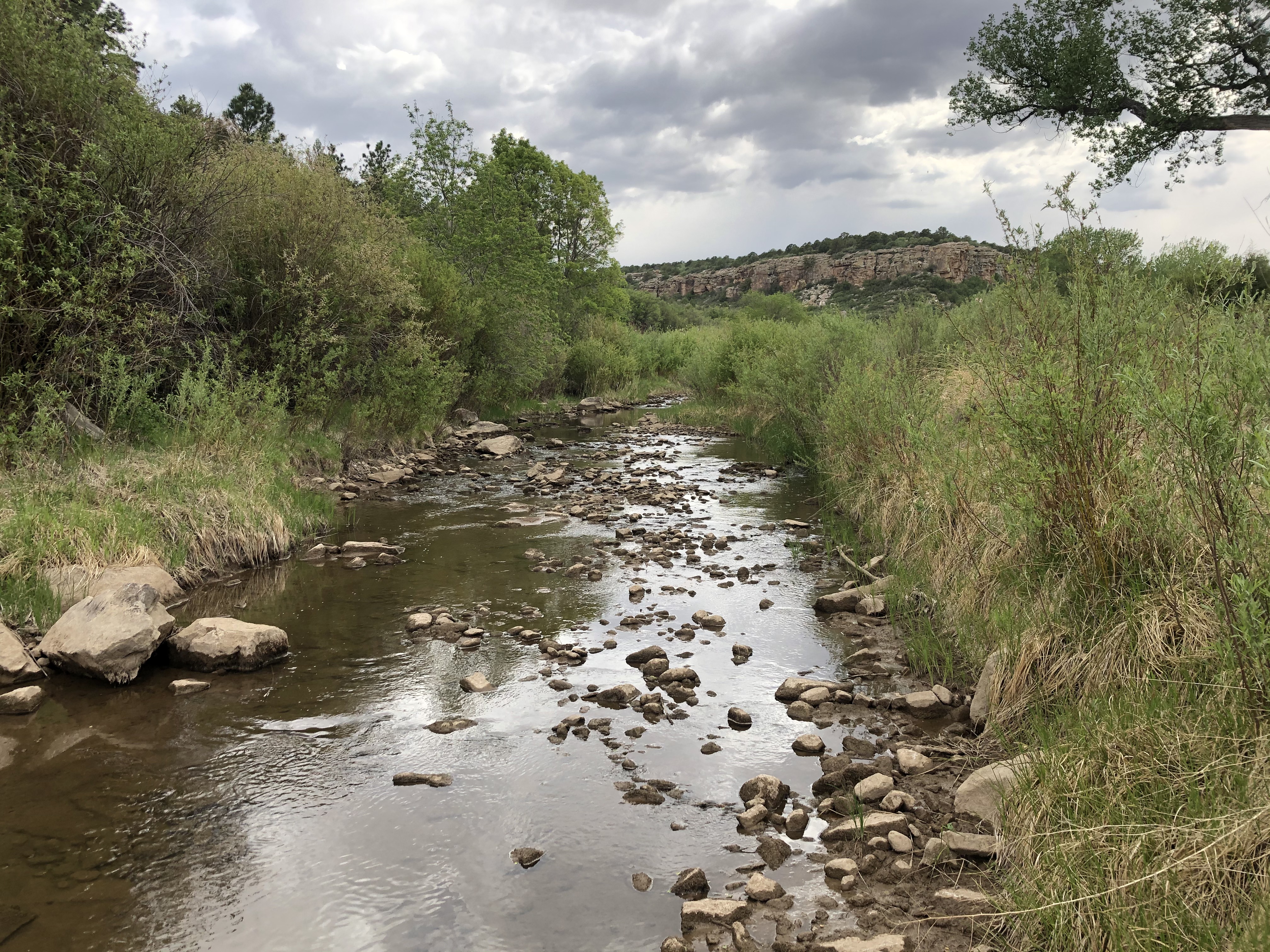 Mora River at Rio Mora NWR JPG | FWS.gov