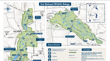Erie NWR Brochure & Map (2024) | FWS.gov