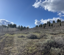 A landscape photo of a spring day in the new acquisition. The sky is sunny and blue with shimmering, heavy, silver clouds. The ground has short grass and is shiny with mud from recent snow melt. The land hosts scattered sagebrush plants, a dense, white aspen stand, round, dark-green rocky mountain junipers, and tall, green conifer trees in the background.