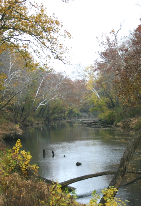 Clarks River National Wildlife Refuge | U.S. Fish & Wildlife Service