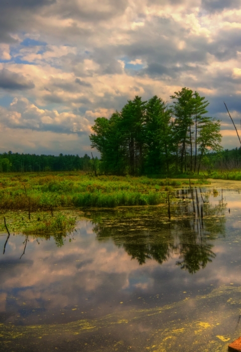 Puffer Pond at Assabet River National Wildlife Refuge 
