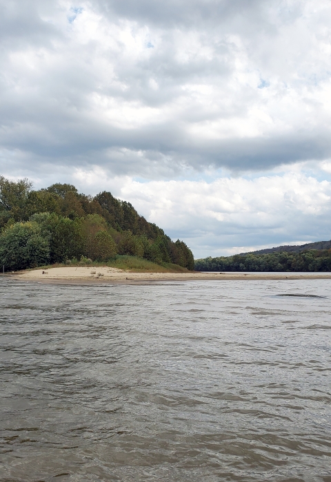 Manchester 1 Island sandbar