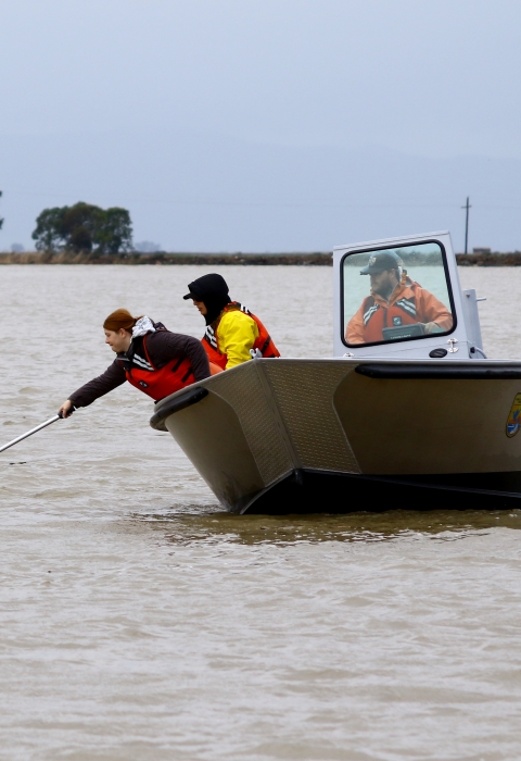 A woman leans out of a boat to pull in a net