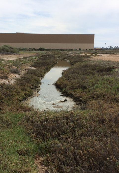 Channel on F and G Street with building in background