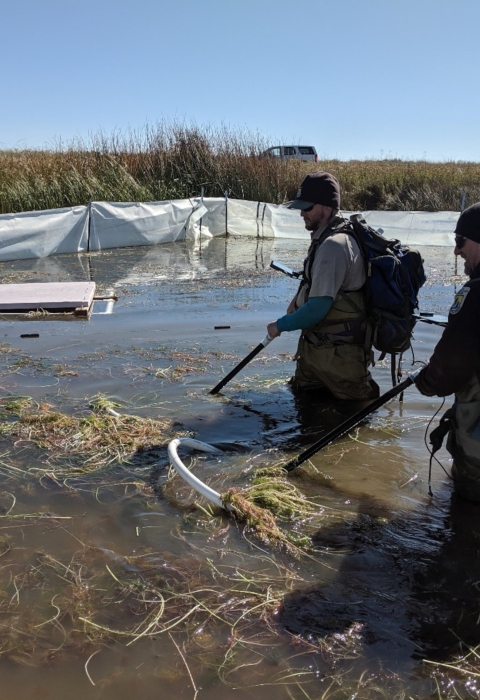 Abernathy designs portable hand-held PIT tag reader with very broad range