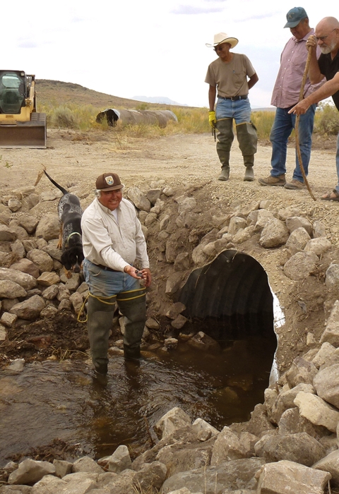 four men looking at a culvert