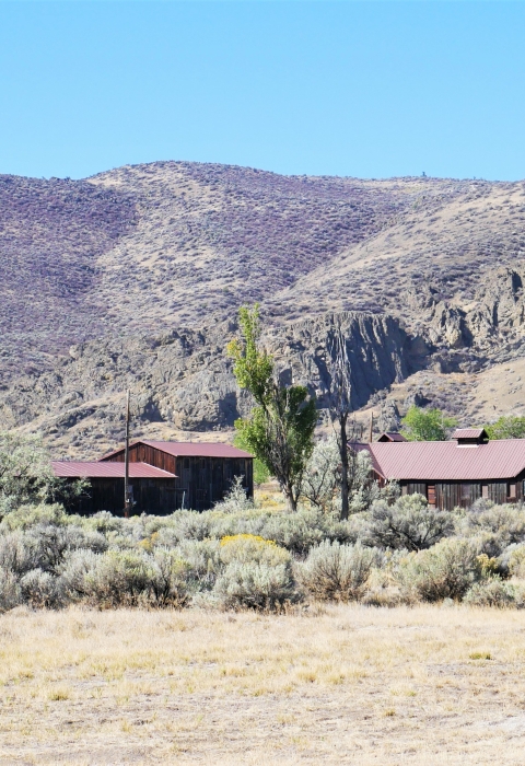 Camp Tule Lake Looking West