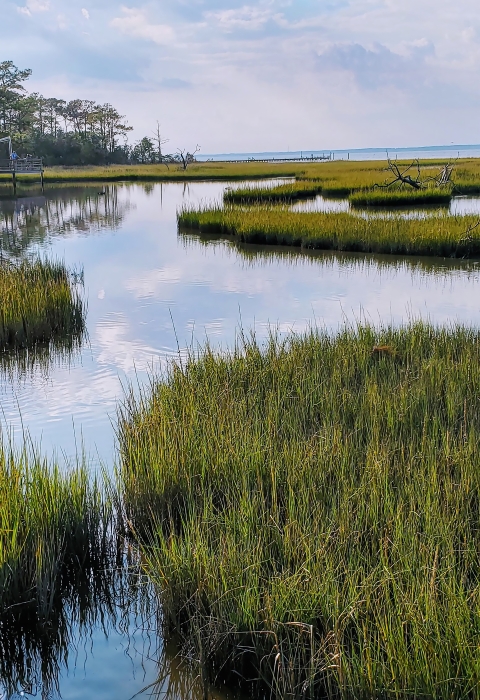 Patches of yellow-green emerge from the water while channels of water reflect a cloudy blue-grey sky.