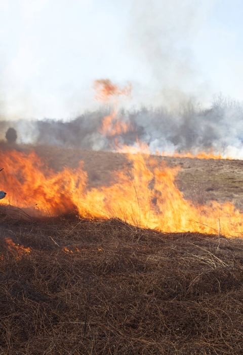 Female Firefighter holding a drop torch