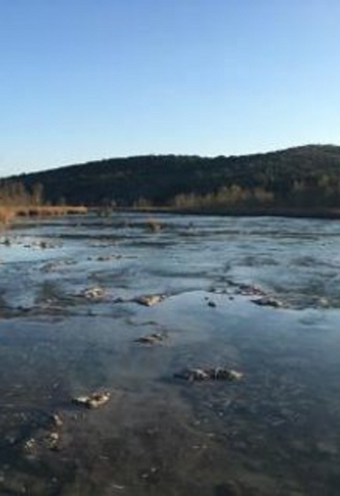 Photo of a wide angle of a river with rolling hills in the background and brown grasses along the banks on a late afternoon sunny day.