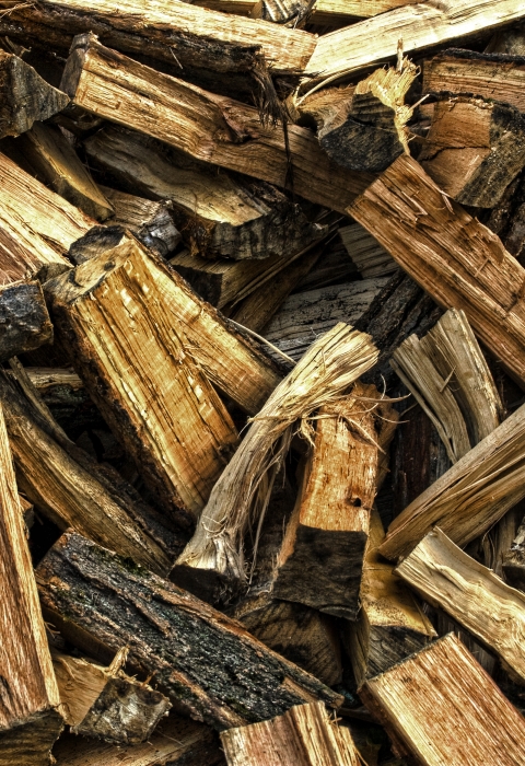 A stack of firewood