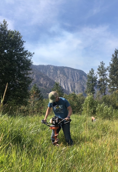 A woman in ballcap and t-shirt uses an auger to dig a hole in a field of tall grass.