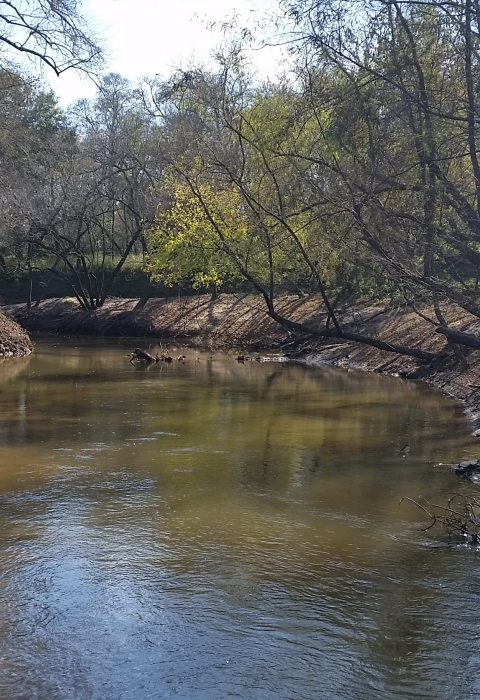 McNeill-Peach Creek Unit at San Bernard National Wildlife Refuge