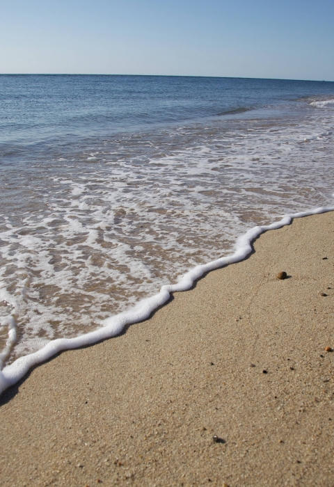 Stones dot a sandy beach along the shoreline.