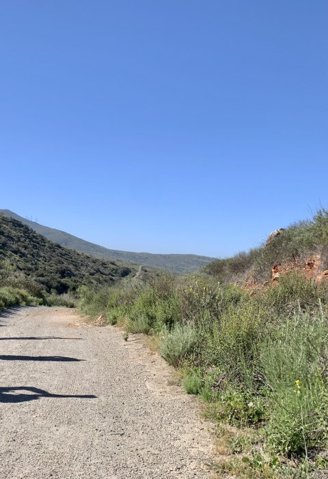 Three photographers stands a few feet next to each other on a trail while photographing something in the sky. 