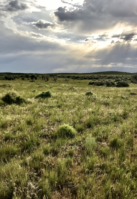 sunbeams coming through clouds over sagebrush lands in Colorado