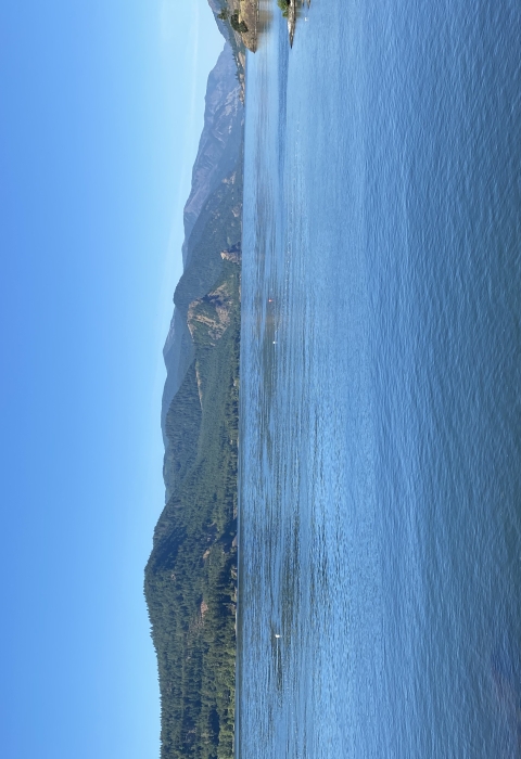 Columbia River from shoreline