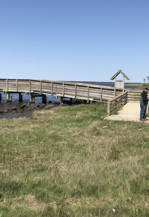 A wooden pier with a gravel sidewalk through a grassy landing at its base.