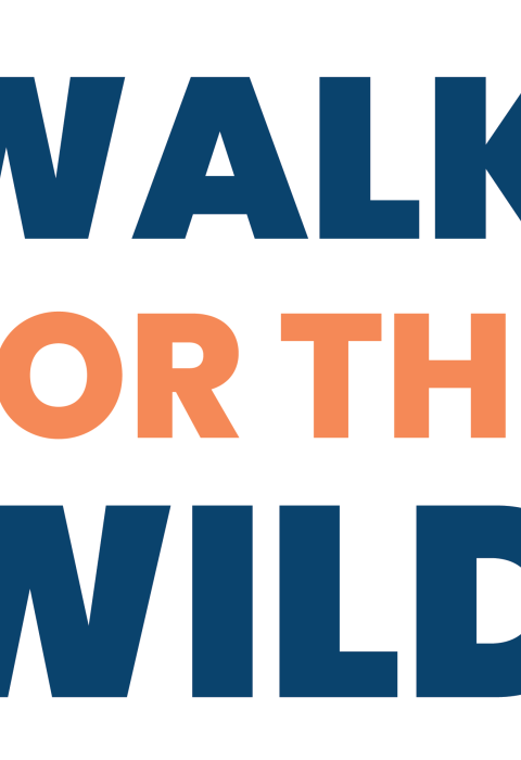 Logo that reads "Walk For The Wild" with a graphic that outlines the heads of a bear, alligator, fish, hummingbird and cervid