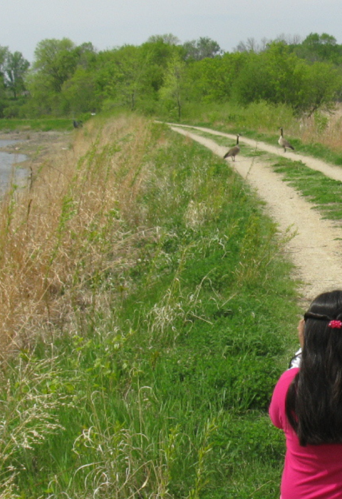 Five kids use binoculars to observe a goose outside on a gravel trail