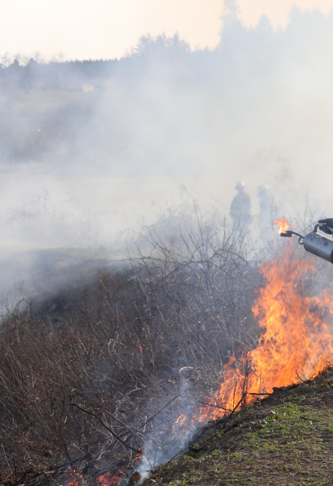 Man dressed in yellow shirt, yellow hardhat, green pants, and backpack holds metal torch to disperse fuel on dead vegetation; small fire is ignited near man's feet; heavy smoke in the air