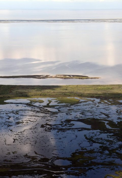 Aerial photo of a flooded portion of San Bernard National Wildlife Refuge near the Texas coast.
